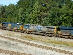 CSX 81 (AC44CW)